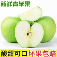 現(xiàn)摘青蘋果水果新鮮脆甜酸甜蘋果應(yīng)季批發(fā)一整箱平果孕婦當(dāng)季