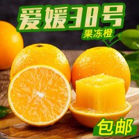四川愛媛38號果凍橙子新鮮孕婦水果應季橘子桔子柑子一件代發(fā)