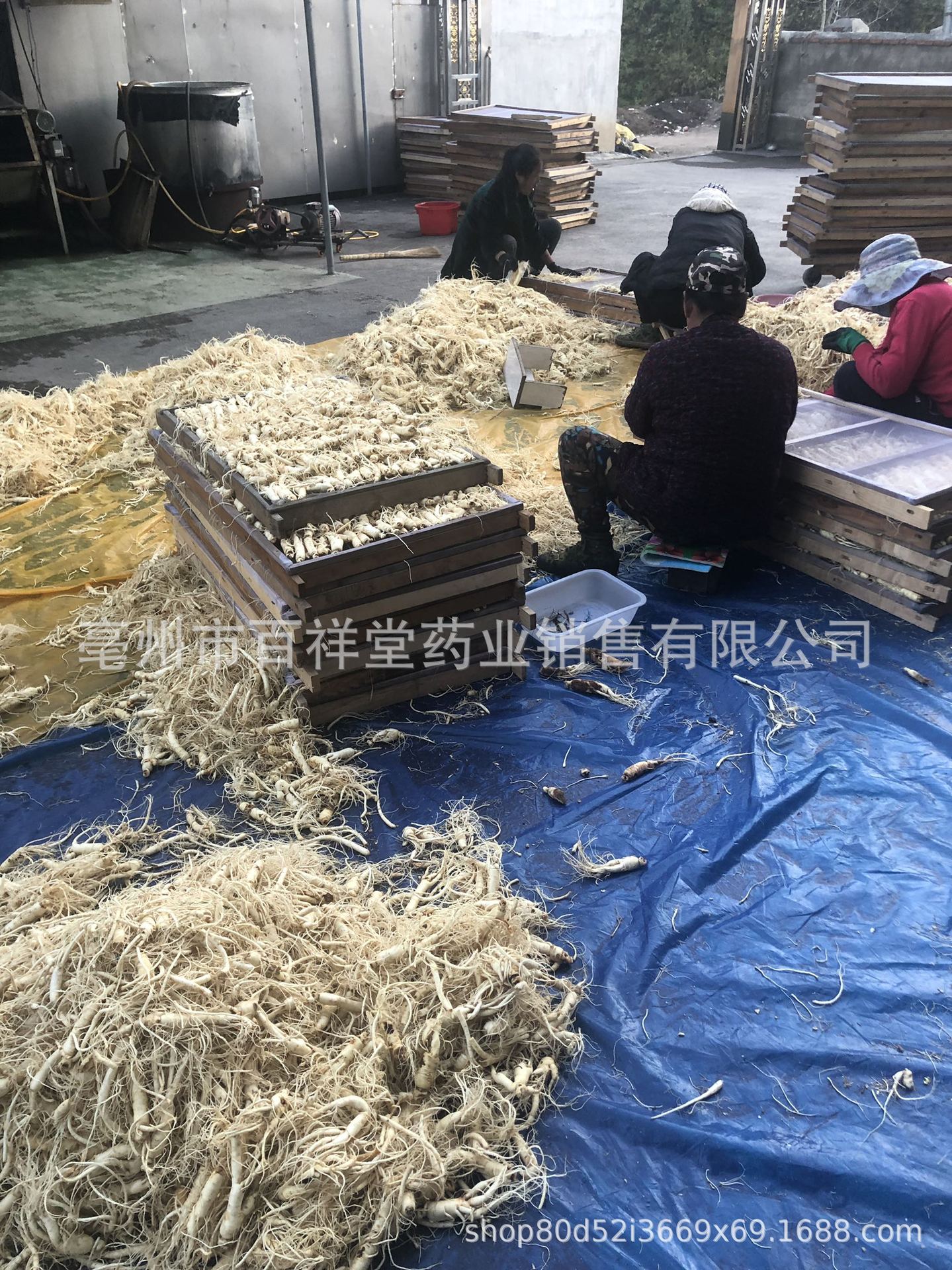 未標(biāo)題-4_03