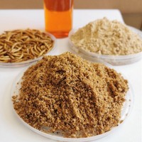 黃粉蟲粉 面包蟲油 動物蛋白粉 大麥蟲干 飼料營養(yǎng)添加劑替代魚粉