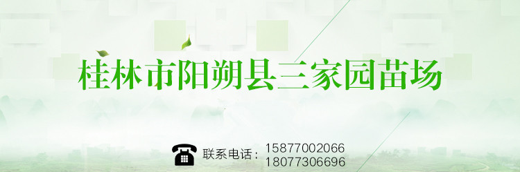 通用標(biāo)題_副本