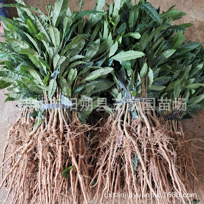 微信圖片_20210611122514_副本