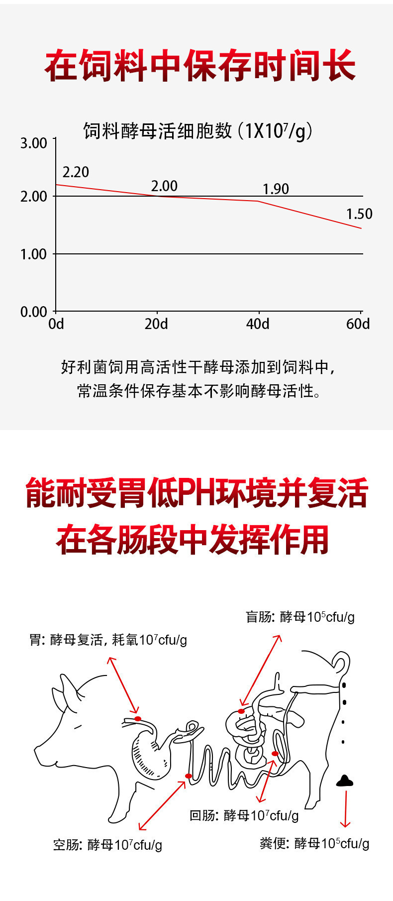 生物飼料詳情頁_04.jpg
