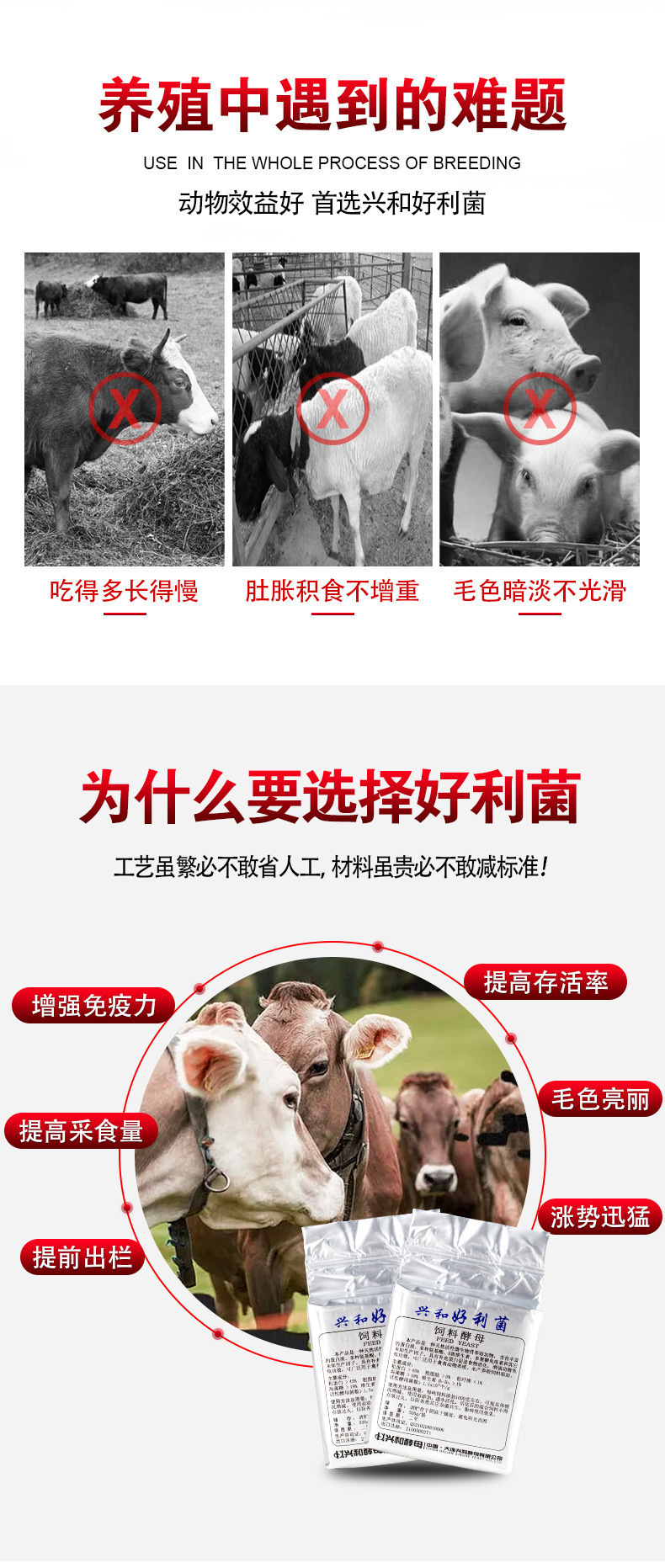 生物飼料詳情頁_02.jpg