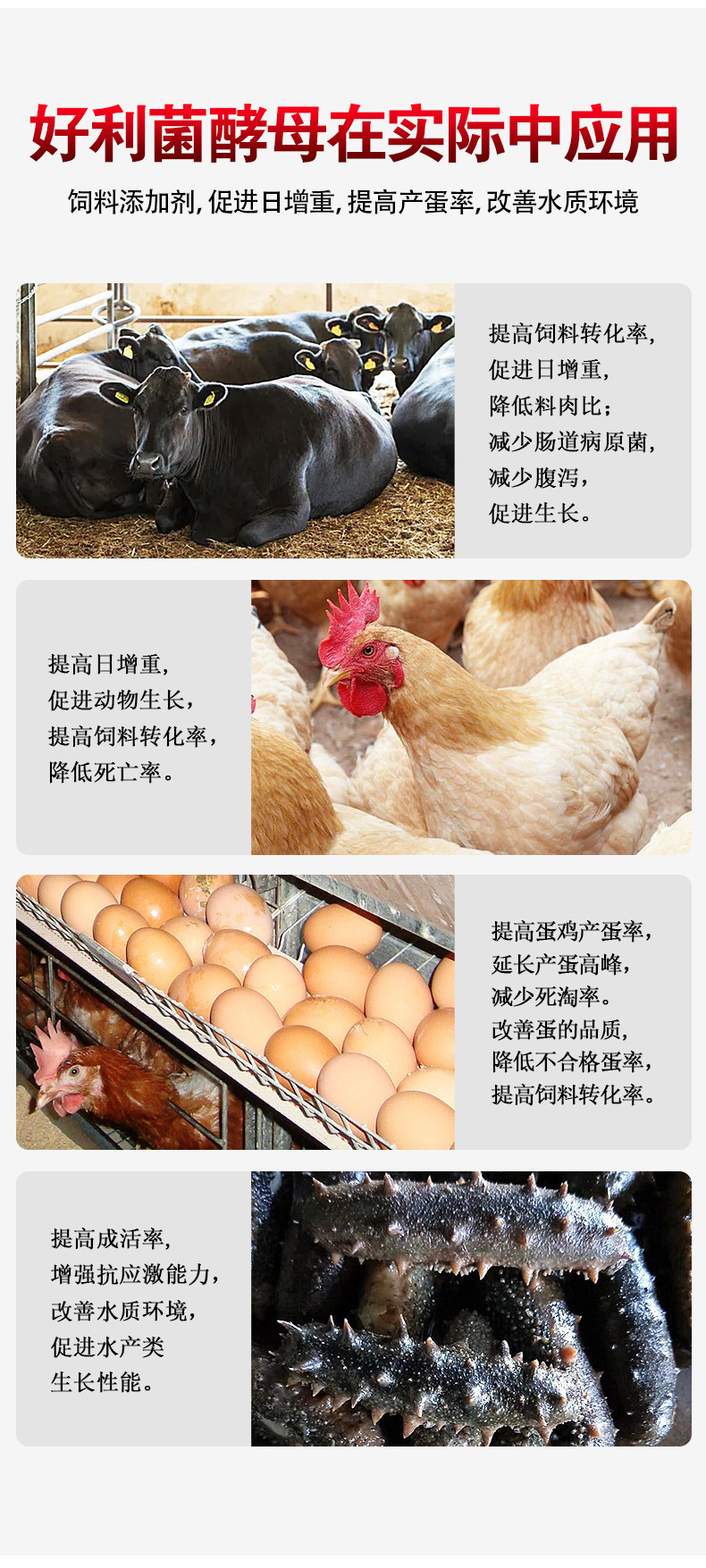 生物飼料詳情頁_09.jpg