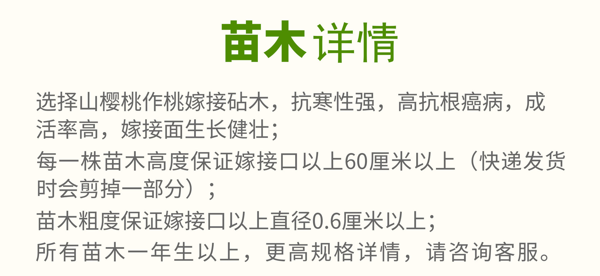 紅妃櫻桃_12