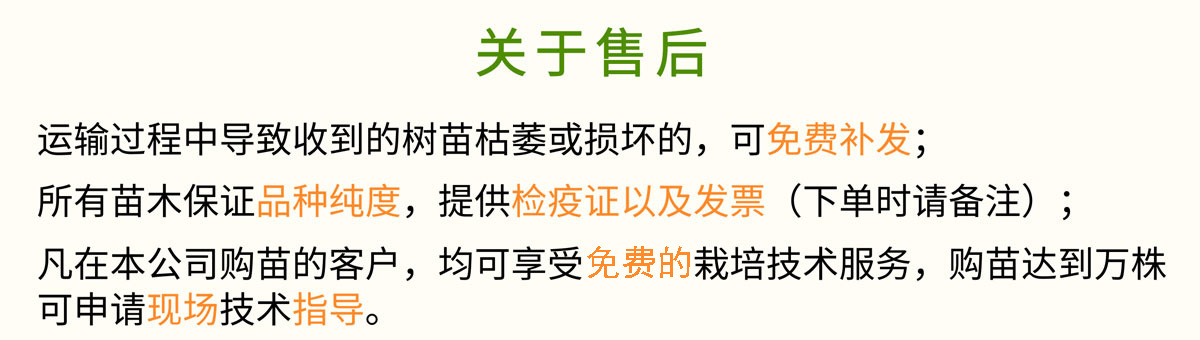 通用詳情頁(yè)_05.jpg