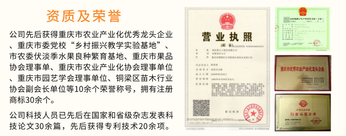 通用詳情頁(yè)_09