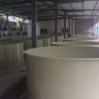 PP工廠化高密度塑料養(yǎng)魚池室內(nèi)泥鰍養(yǎng)殖池 ZPT116