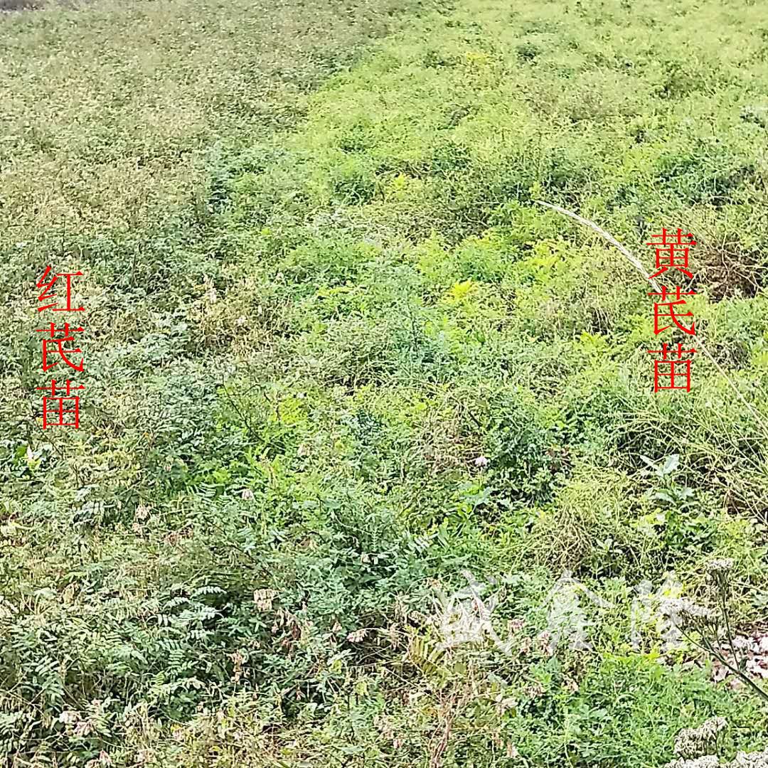 微信圖片_20180920090432_副本