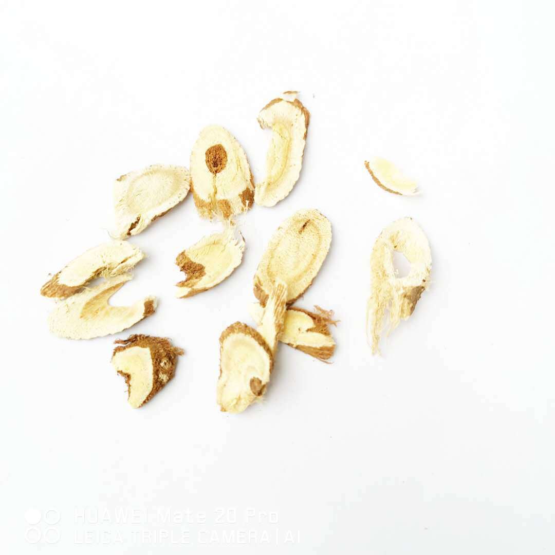 殘片白底