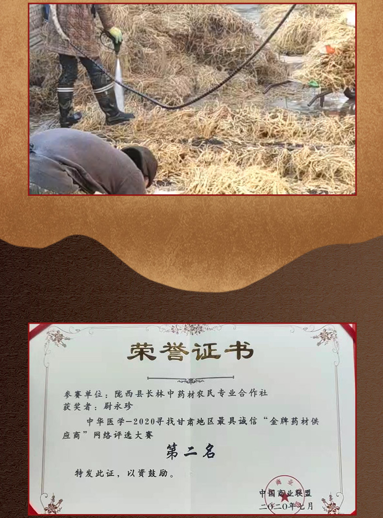 黃芪_09.jpg