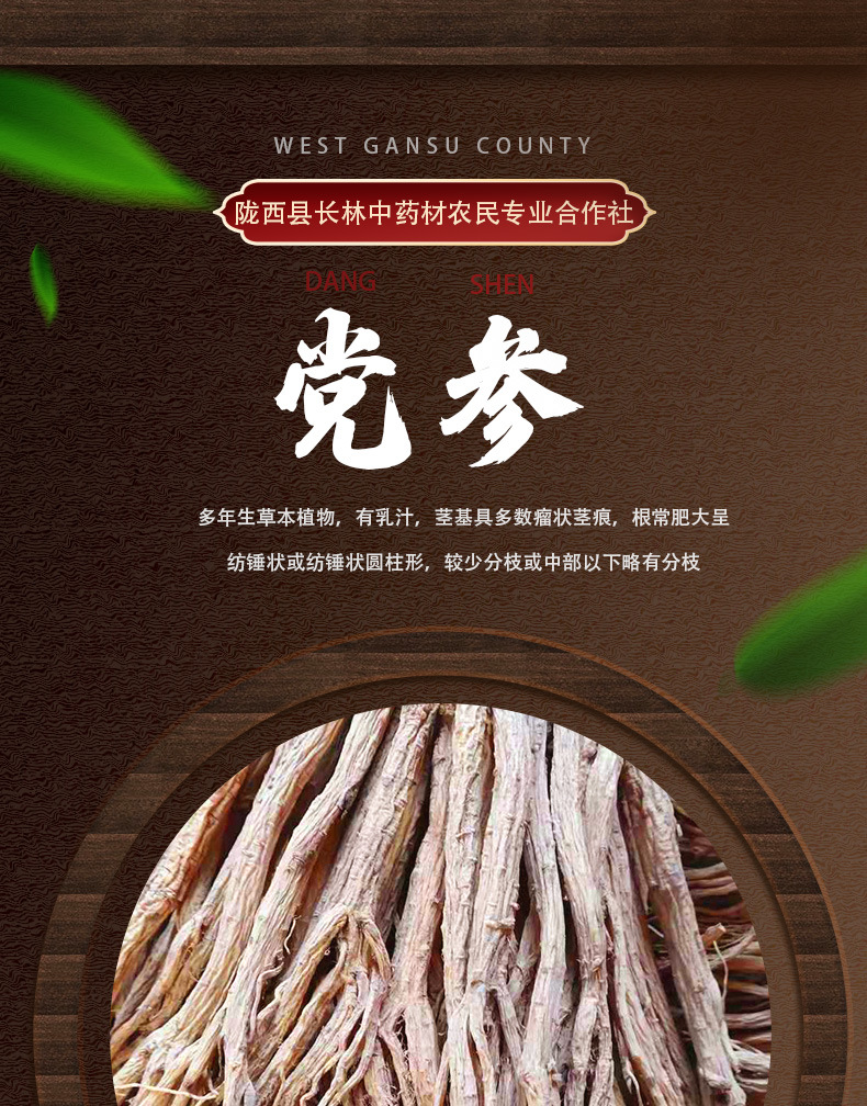 黨參_01.jpg