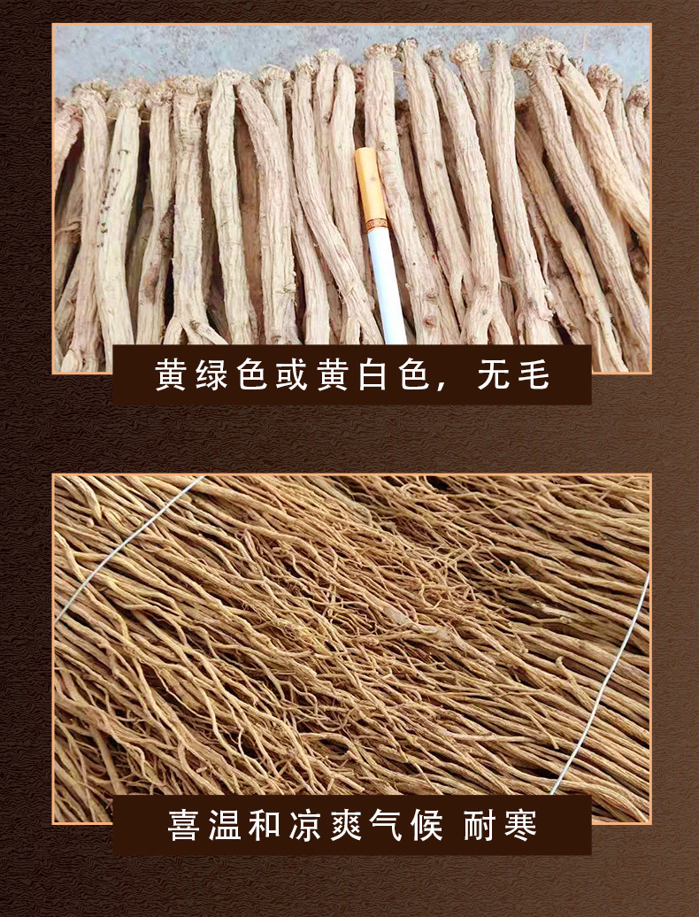 黨參_05.jpg