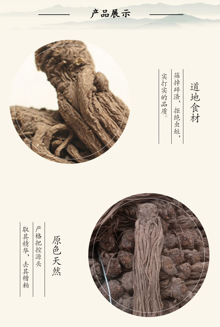 當(dāng)歸大條-U_03.jpg
