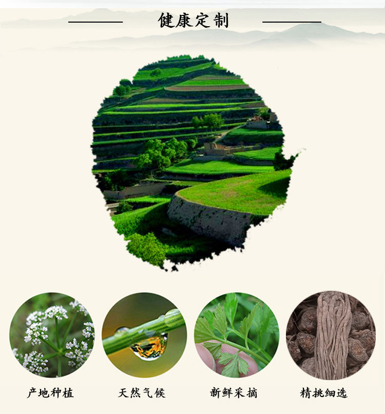 當(dāng)歸大條-U_02.jpg