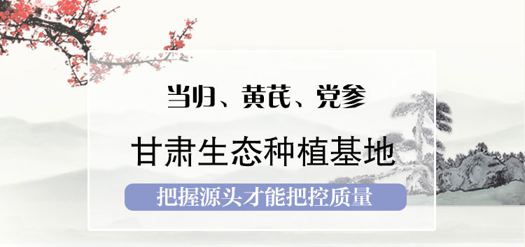 當(dāng)歸大條-U_01.jpg