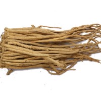 甘肅無(wú)硫天然中藥材種植黨參中藥材大量批發(fā)產(chǎn)地發(fā)貨規(guī)格齊全