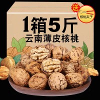 新貨核桃薄皮云南紙皮核桃生干果年貨孕婦堅果無漂白干黑核桃代發(fā)