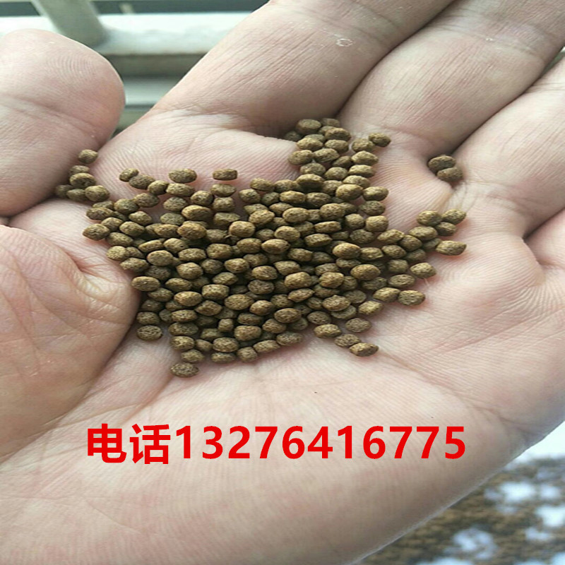 青蛙飼料3