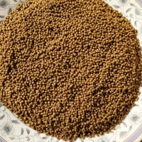 蝌蚪飼料蟾蜍癩蛤蟆蝌蚪飼料