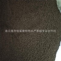 剛變態(tài)上岸的幼蟾蜍小癩蛤蟆專用開口飼料
