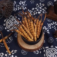 西藏那曲蟲草 藏民家中采購冬蟲夏草 產(chǎn)地店鋪干貨現(xiàn)貨批發(fā)代發(fā)