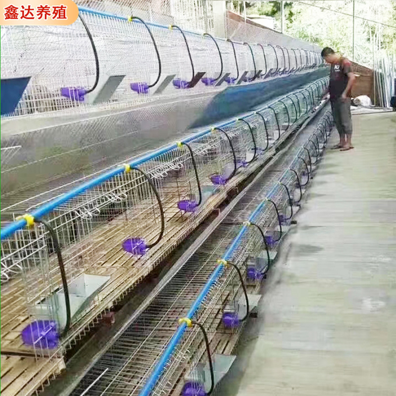 微信圖片_202104271858123.jpg