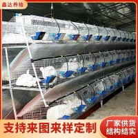 免清糞階梯兔籠濟南廠家 三層九窩種兔免清糞階梯籠 鍍鋅階梯兔籠