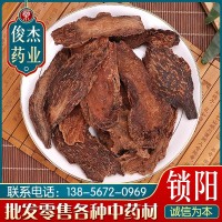 中鐵中藥材批發(fā)鎖陽(yáng)片 鎖陽(yáng)泡酒料各種規(guī)格量大從優(yōu)鎖陽(yáng)