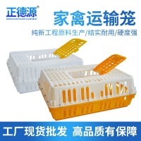 批發(fā) 雞運輸籠 雞用周轉(zhuǎn)箱 運輸雞籠 雞鴨鴿兔周轉(zhuǎn)箱運輸籠 雞框