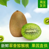 陜西翠香獼猴桃新鮮水果5斤裝奇異果綠心獼猴桃現(xiàn)摘現(xiàn)發(fā)產(chǎn)地直供