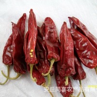 大量供應(yīng)出口級(jí)辣椒干（國(guó)內(nèi)所有品種）2013年新貨