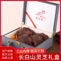 長(zhǎng)白山赤靈芝禮盒裝林下靈芝仿野泡酒泡水滋補(bǔ)干靈芝送禮佳品批發(fā)