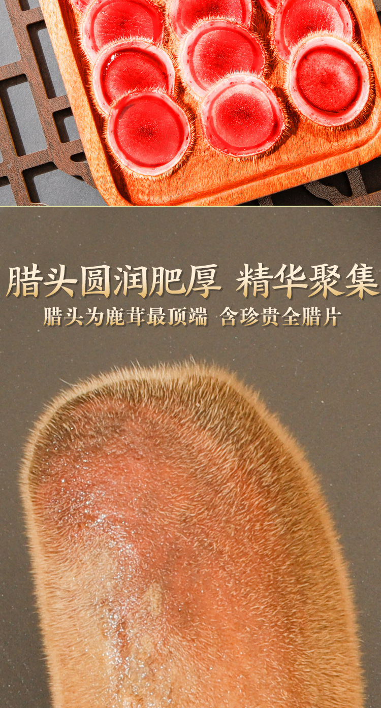 鮮鹿茸詳情2022_09.jpg