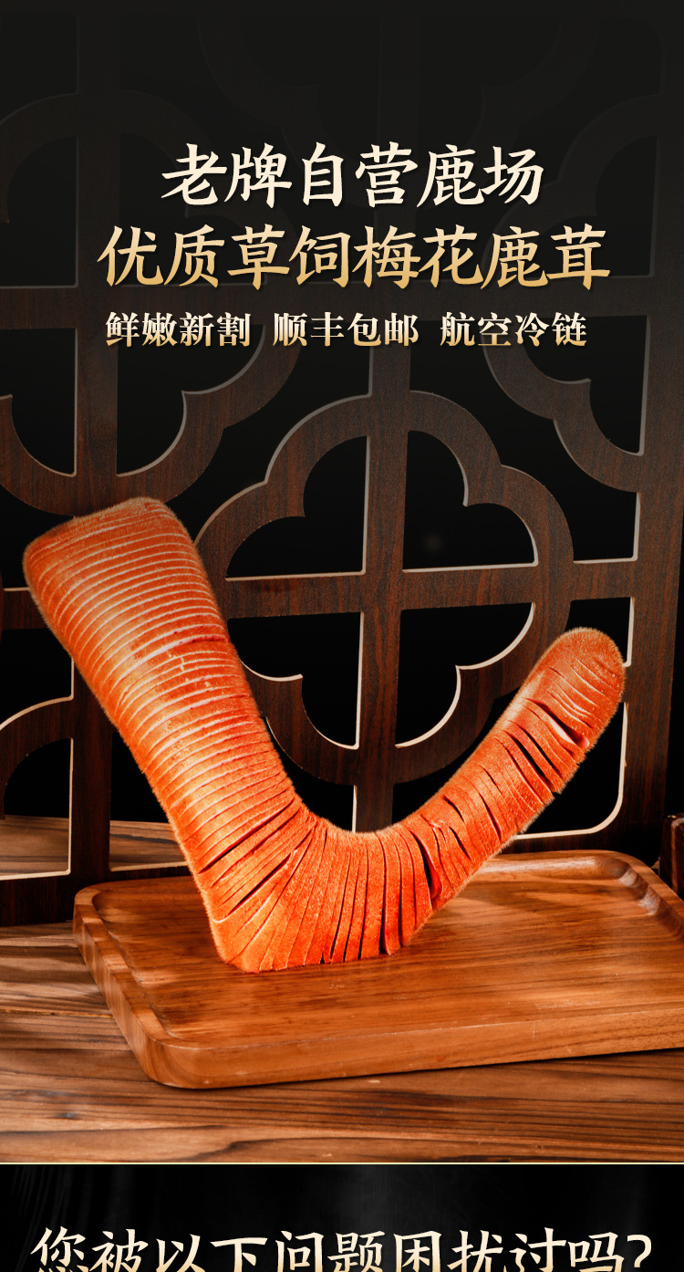 鮮鹿茸詳情2022_01.jpg