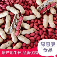 大量批發(fā)散裝新貨四粒紅皮花生帶殼四粒紅生花生農(nóng)家自產(chǎn)一件代發(fā)