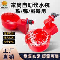 雞用自動飲水器雞鴨鴿子飲水碗喝水碗雛雞鳥飲水器鵪鶉家禽飲水器