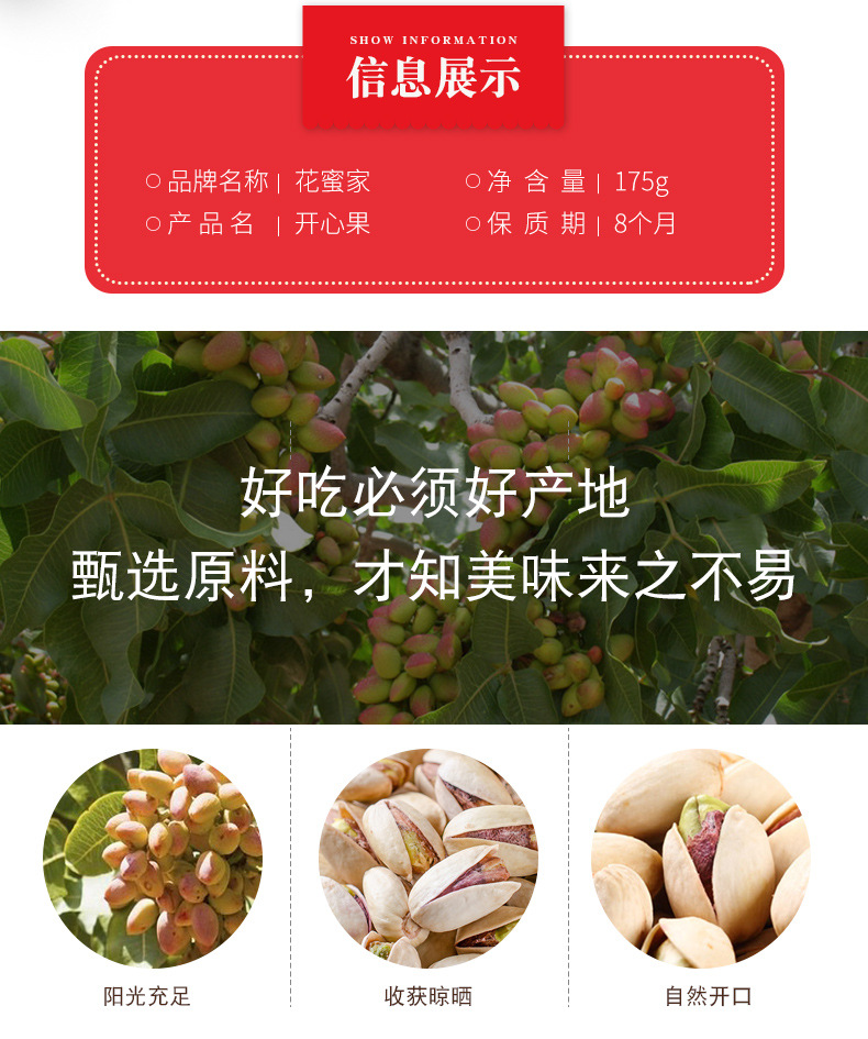 開心果詳情_02.jpg