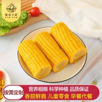 即食水果玉米棒批發(fā)水果玉米棒可出口批發(fā)甜玉米棒子銷售