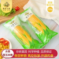粗糧東北水果玉米棒220g*6真空即食甜玉米棒金色玉米