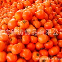 保鮮西紅柿出口濰坊新濤食品（資質(zhì)工廠、常年加工）