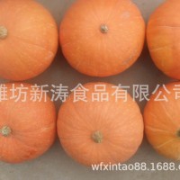 保鮮南瓜出口臺灣濰坊新濤食品（基地種植、廠家直供）