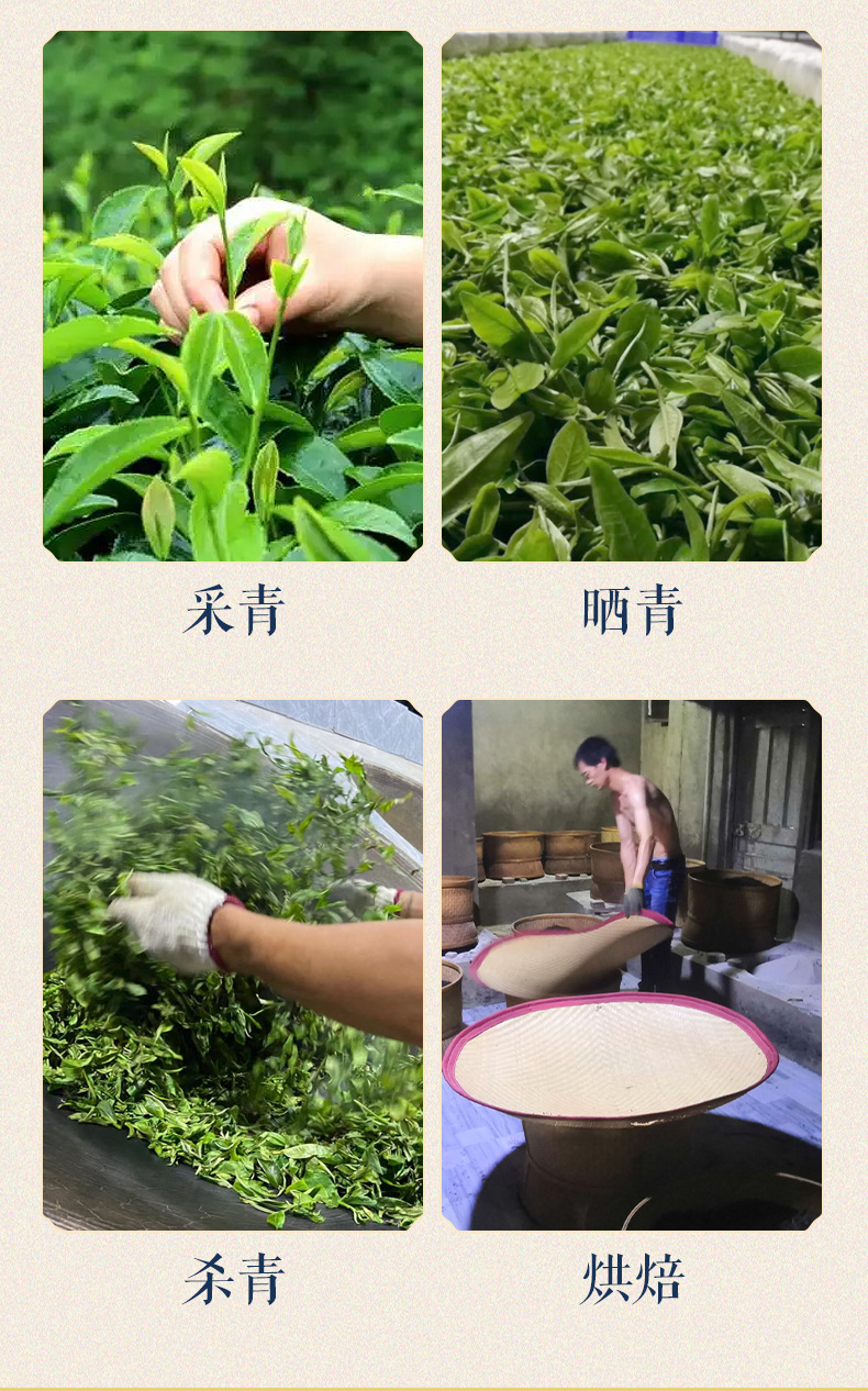 白芽奇蘭_05.jpg