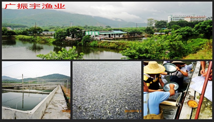 場景圖2_conew3
