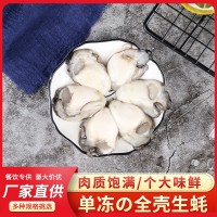 福建沿海新鮮海鮮生蠔肉 去殼牡蠣肉鮮活現(xiàn)剝 單凍蠔肉批發(fā)供應(yīng)