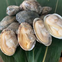 凍煮真空花蛤 花甲 熟凍 開(kāi)袋即食 出口品質(zhì) 吐沙干凈 東港直供