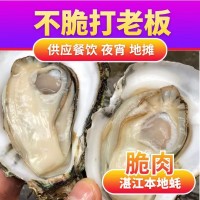 夜市擺地?cái)傉拷桋r活燒烤店整箱商用產(chǎn)地批發(fā)肉大量乳山特大