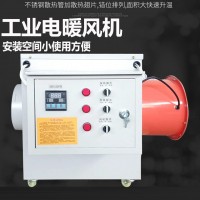 廠家供應(yīng)電熱風(fēng)爐 養(yǎng)雞場育雛專用暖風(fēng)機 廠房升溫供暖用暖風(fēng)機