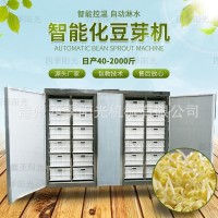全自動豆芽機(jī) 商用黃豆芽綠豆芽箱式豆芽機(jī) 豆芽發(fā)芽設(shè)備